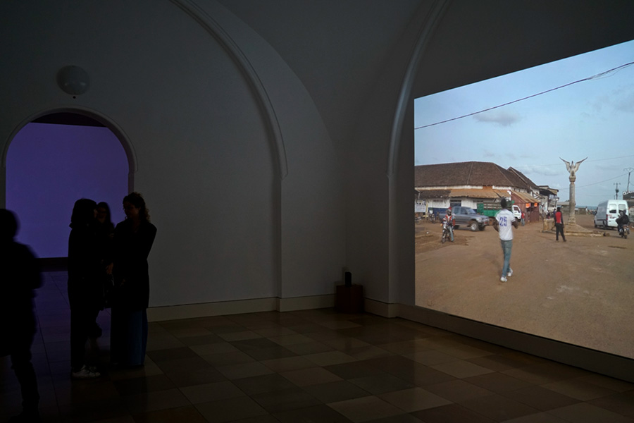 Videodox installation